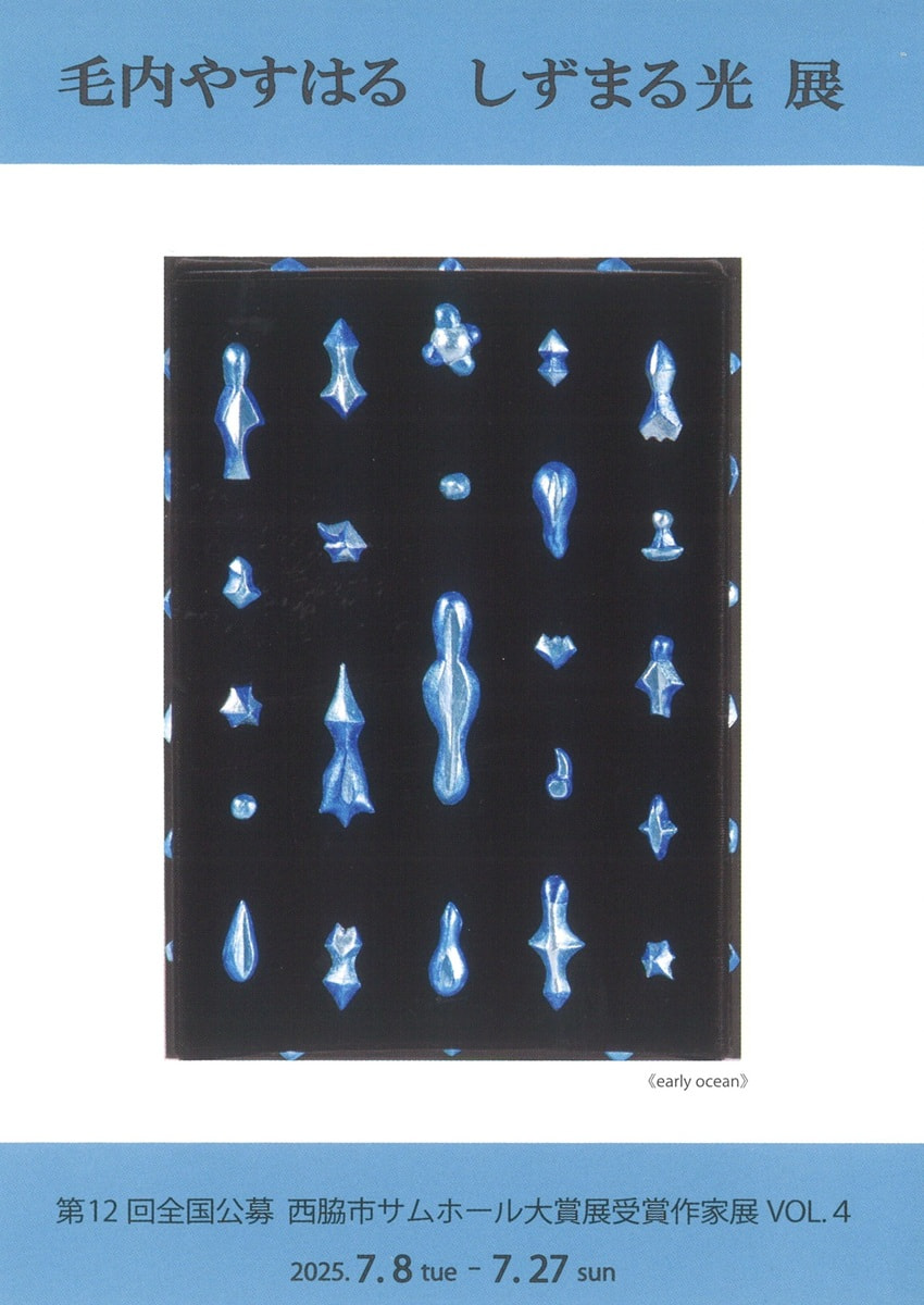 第12回全国公募西脇市サムホール大賞展受賞作家展VOL.４「毛内やすはる　しずまる光 展」