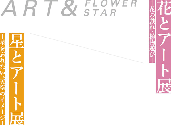 花とアート展　星とアート展